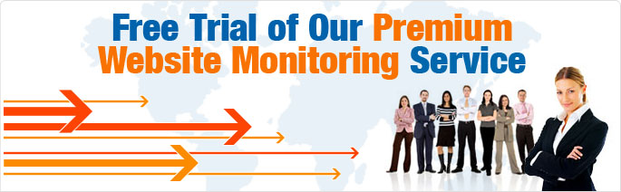 Premium Website Monitoring Service